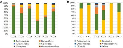 Newcastle Disease Virus Infection Interferes With the Formation of Intestinal Microflora in Newly Hatched Specific-Pathogen-Free Chicks